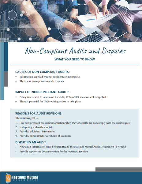 Non-Compliant Audits and Disputes document thumbnail