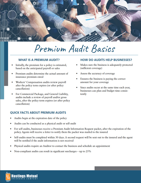 premium audit basics document thumbnail