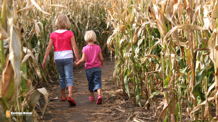 young girls in a corn maze