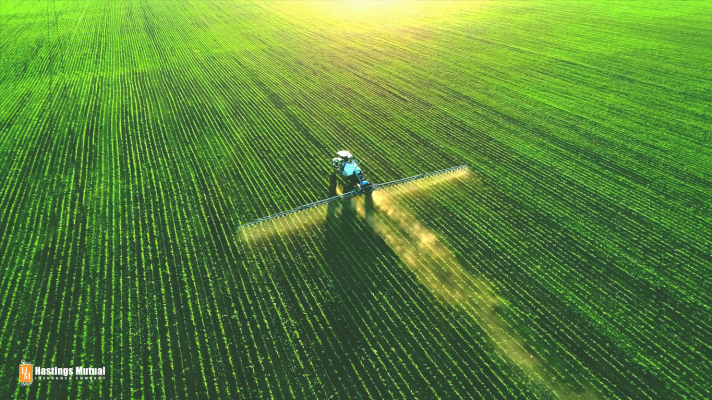 Farmer spraying green field