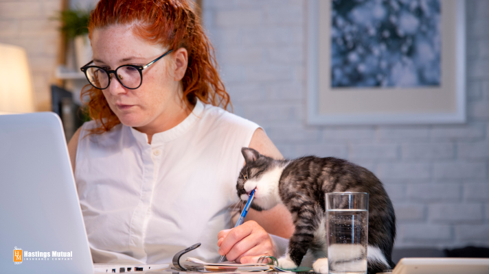 woman working from home with her cat bothering her